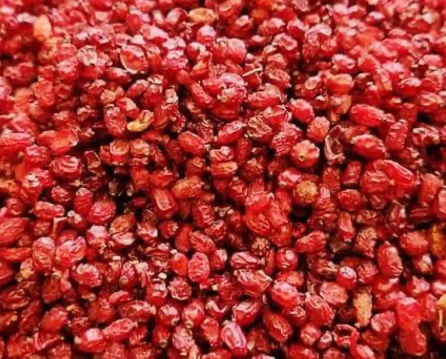 البربرين الطبيعي - ثمار الزركش العضوي (البربرايس المجفف) يسمي الماس الاحمر والسوبر فود ، درجه اولي ونقي 100% ،العبوه 60 جرام من بيورلي بلس